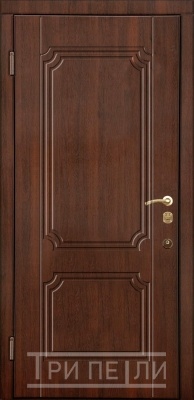 Входная дверь внутри МДФ
