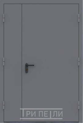 Полуторная техническая дверь Порошок с двух сторон