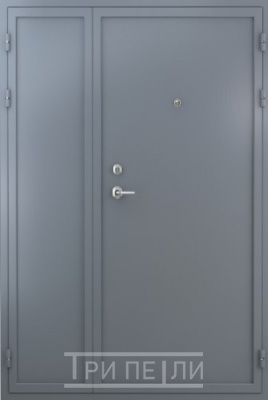 Входная дверь Полуторная техническая дверь Порошок с двух сторон (с конвертом)